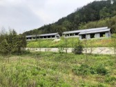 廠房圖