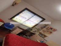 其它圖